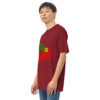 mens-premium-heavyweight-tee-brick-red-left-front-62e17b58a0607.jpg